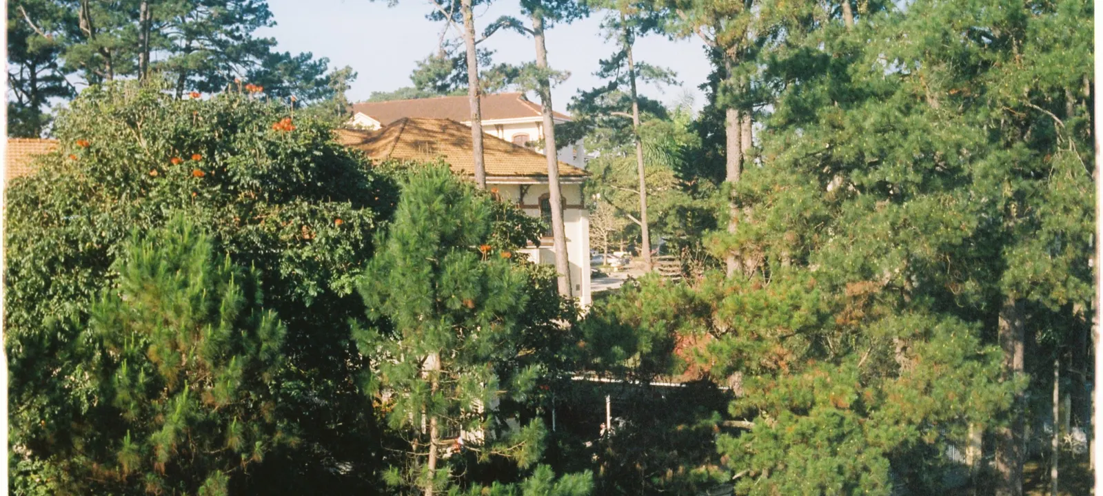 Greater Houston area scenery
